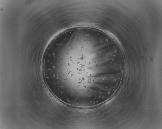 X0000082731288200702091828