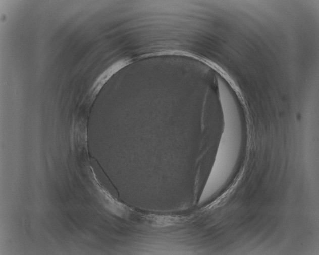 X0000082731289200702091828