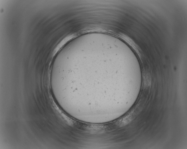 X0000082731290200702091828