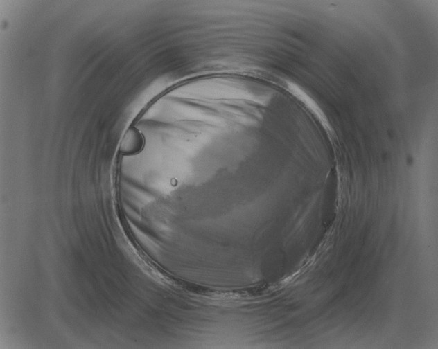 X0000082731291200702091828