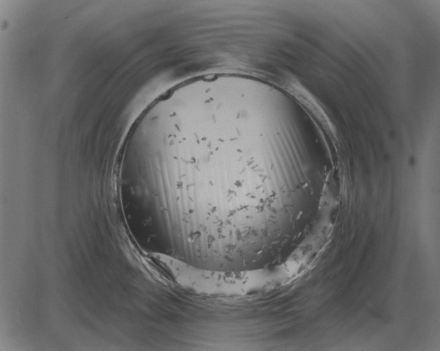 X0000082731292200702091828