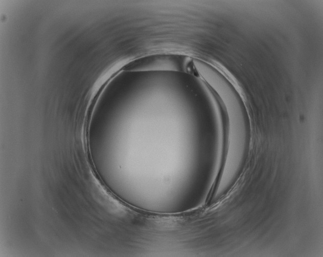 X0000082731293200702091828