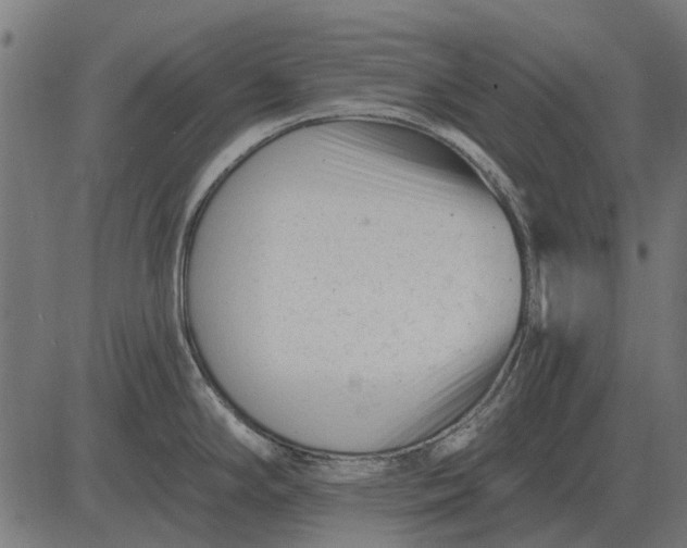 X0000082731294200702091828