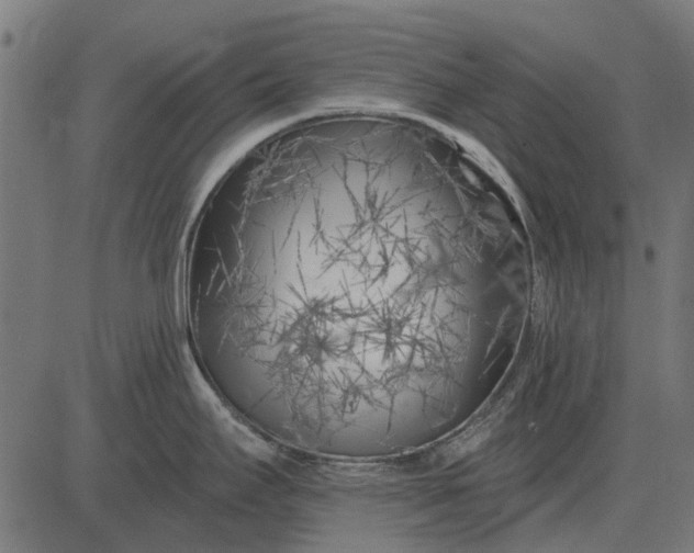 X0000082731295200702091828