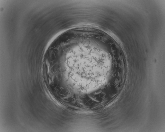 X0000082731296200702091828