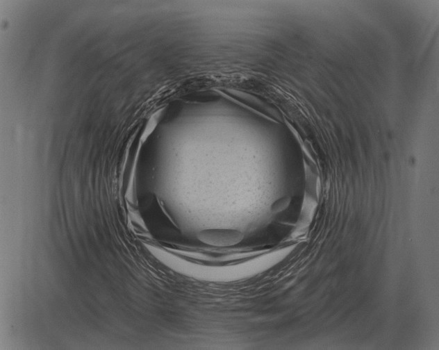 X0000082731298200702091827