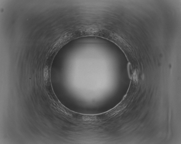 X0000082731299200702091827