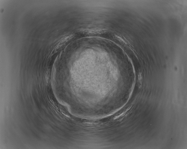 X0000082731300200702091827