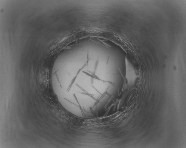 X0000082731301200702091827