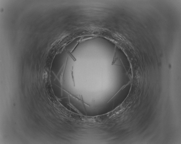 X0000082731302200702091827