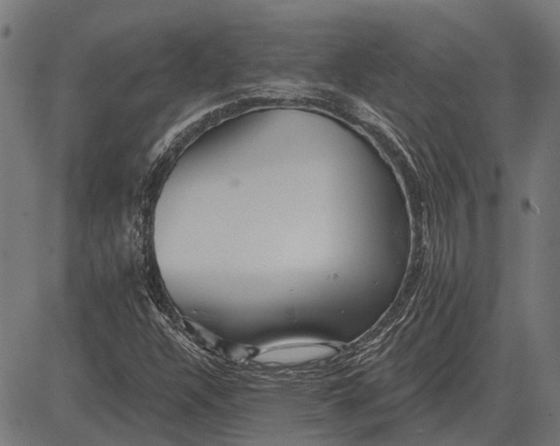 X0000082731304200702091827