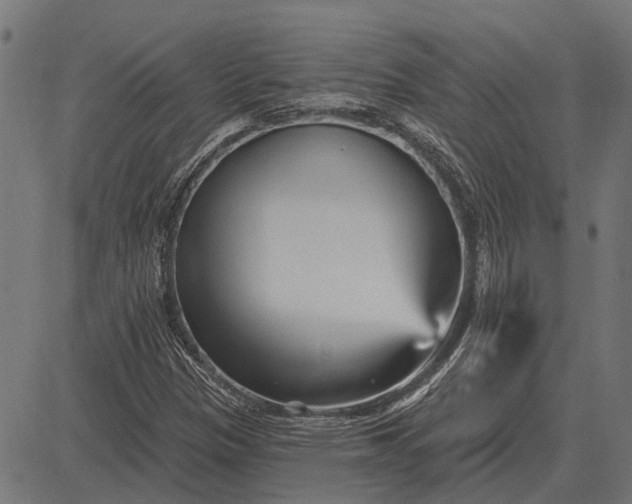 X0000082731305200702091827