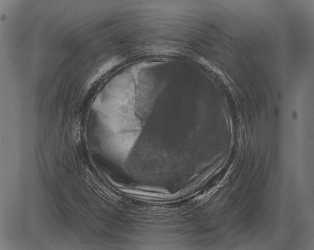 X0000082731306200702091827