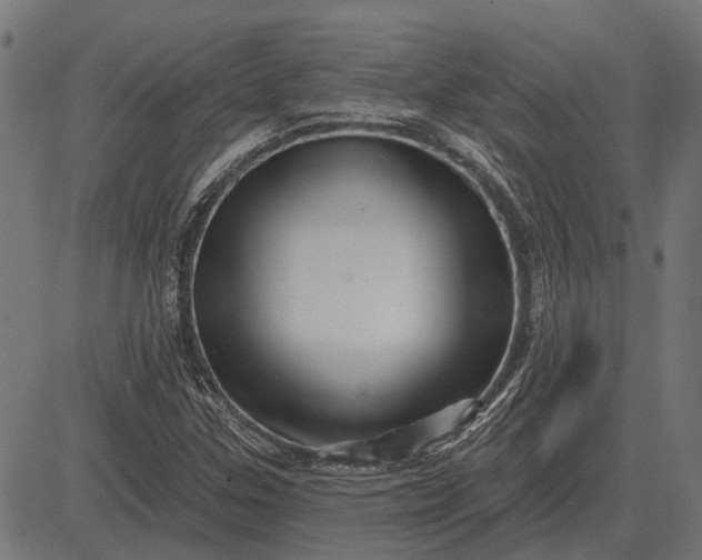 X0000082731307200702091827