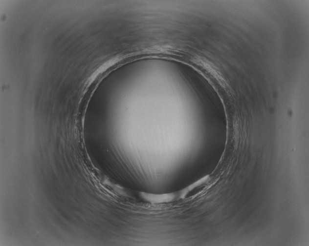 X0000082731308200702091827