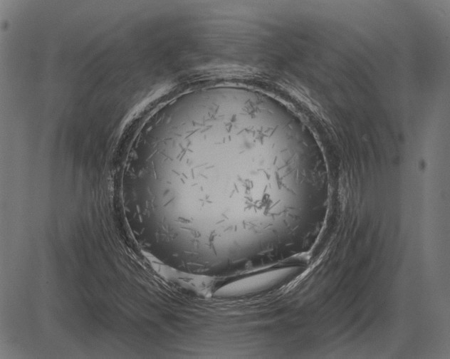 X0000082731309200702091827