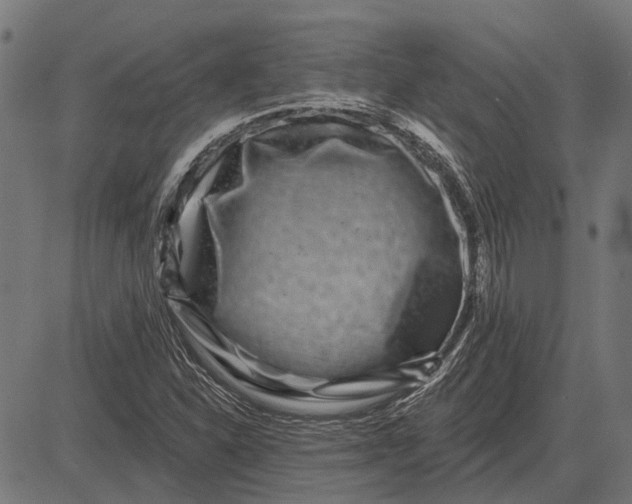 X0000082731310200702091828