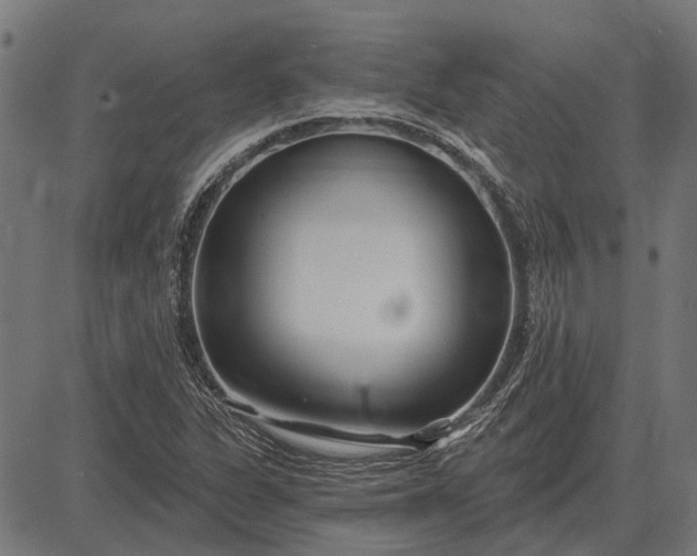 X0000082731311200702091828