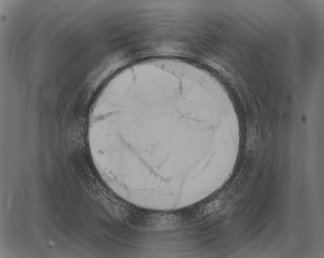 X0000082731314200702091828