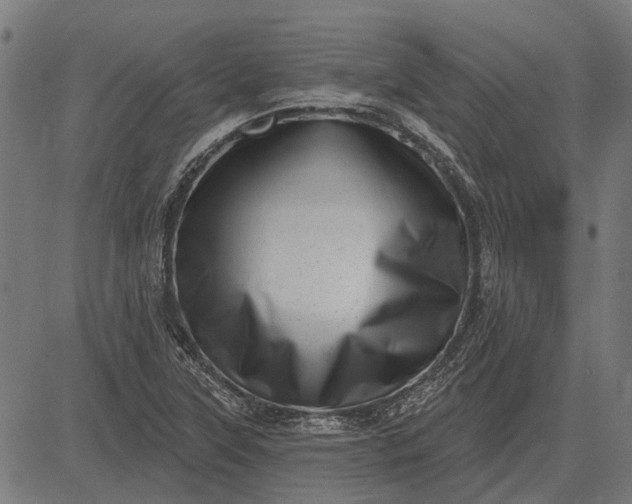 X0000082731315200702091828