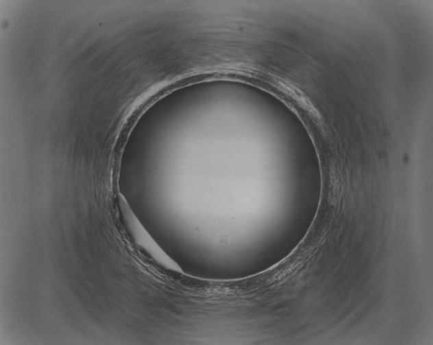 X0000082731316200702091828