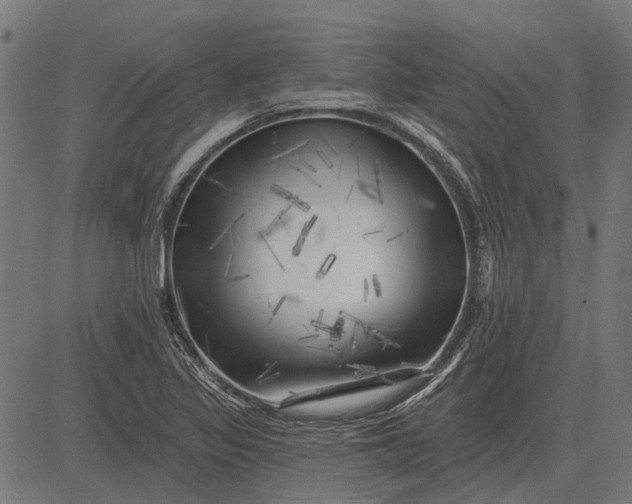 X0000082731317200702091828