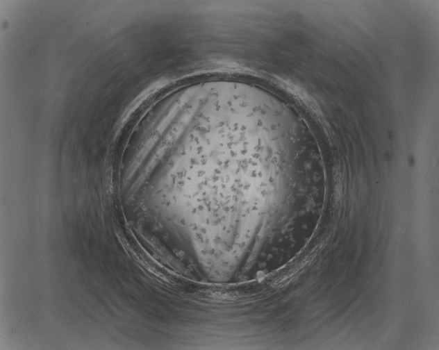 X0000082731318200702091828