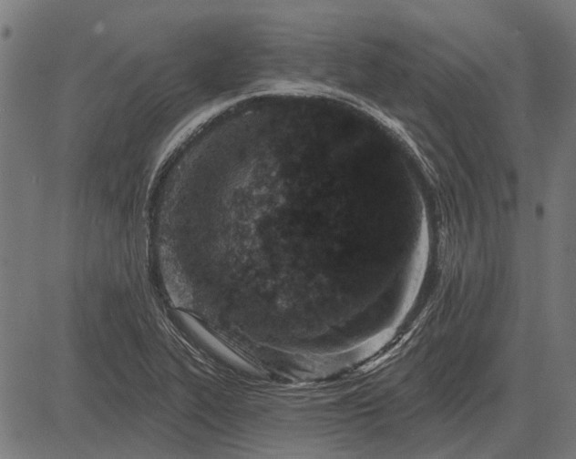 X0000082731319200702091828