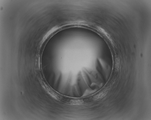 X0000082731320200702091828