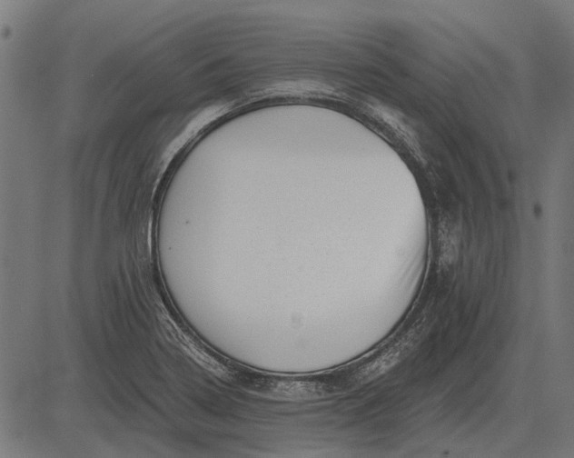 X0000082731322200702091828