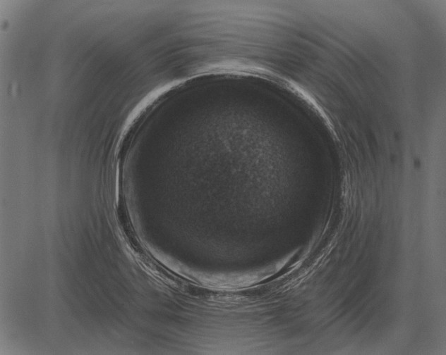 X0000082731323200702091828