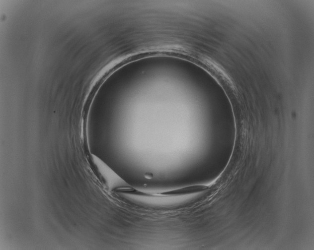 X0000082731324200702091828