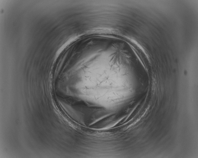 X0000082731325200702091828