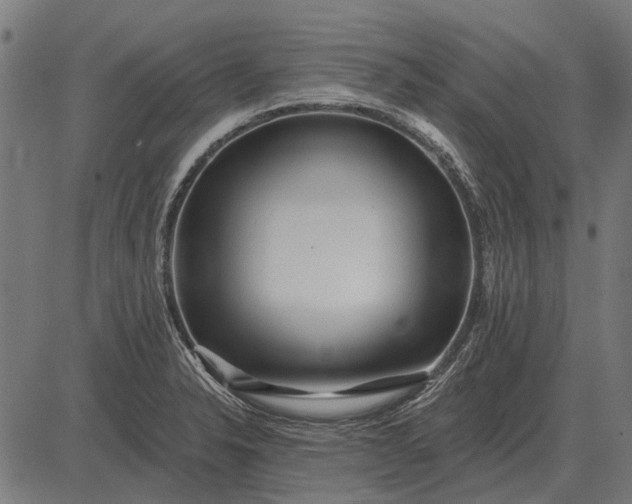 X0000082731326200702091828