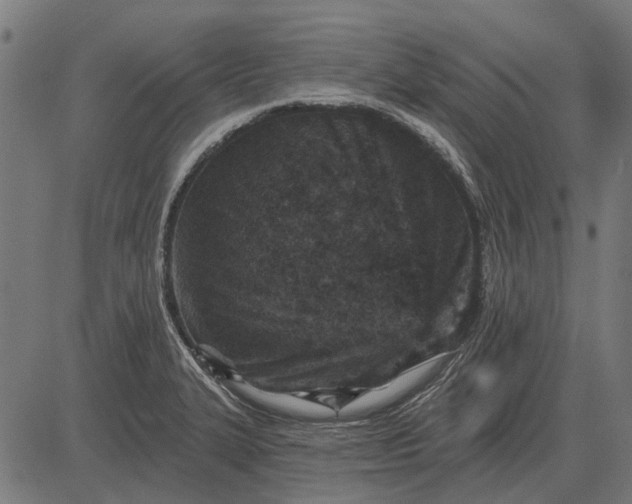 X0000082731327200702091828