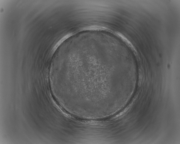 X0000082731329200702091828