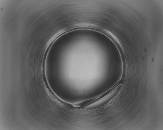 X0000082731330200702091828