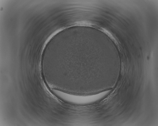 X0000082731331200702091828