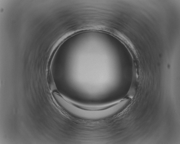 X0000082731332200702091828