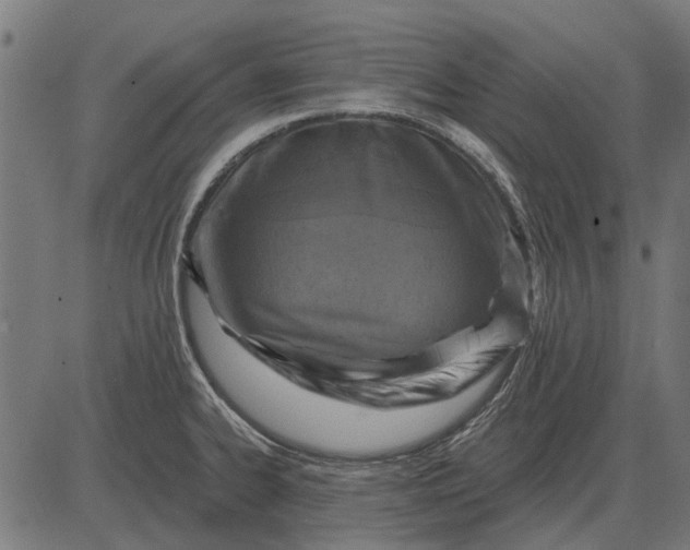 X0000082731334200702091828