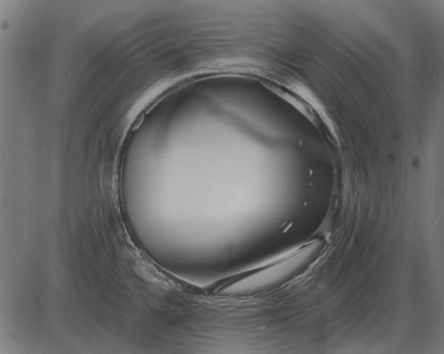 X0000082731336200702091828