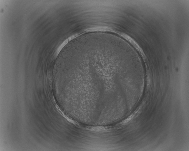 X0000082731337200702091828