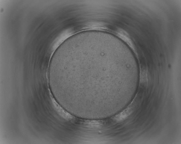 X0000082731338200702091828