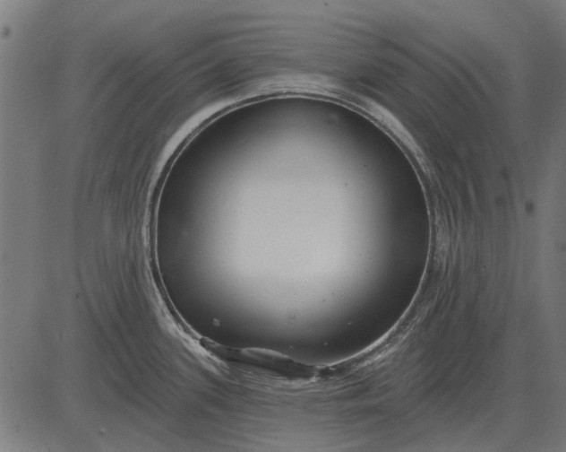 X0000082731339200702091828