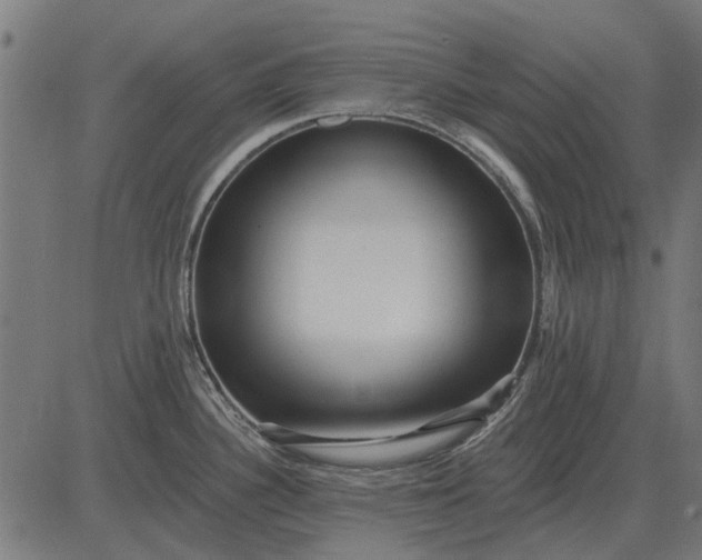 X0000082731340200702091828