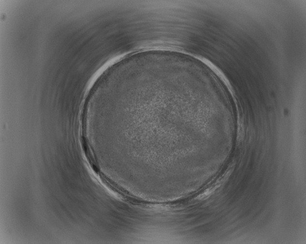 X0000082731341200702091828