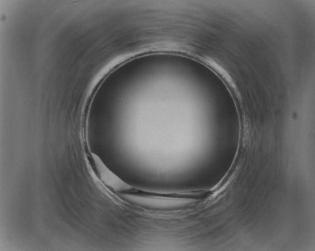 X0000082731342200702091828