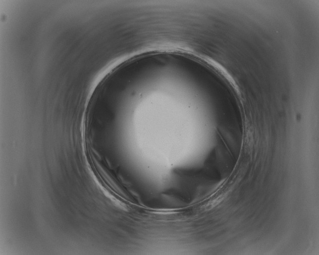 X0000082731343200702091828