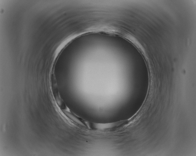 X0000082731344200702091828