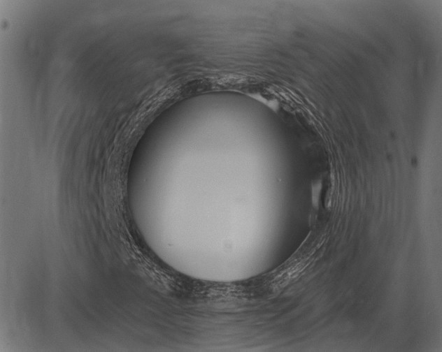 X0000082731345200702091827